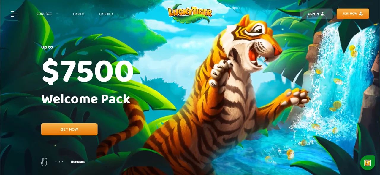 Lucky Tiger screenshot 1